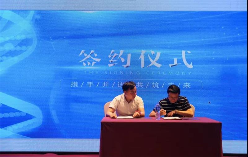 科技引领未来：解读欧可迪科技的创新之路