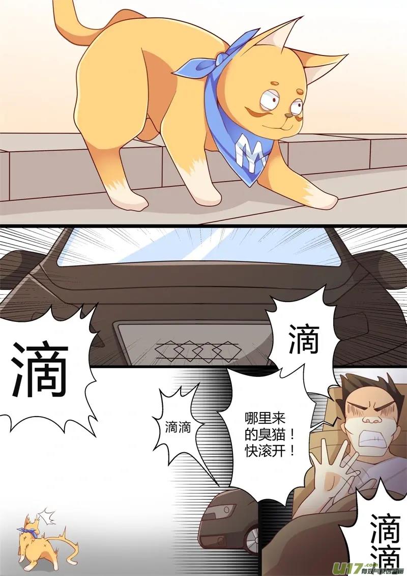 米高猫少年魔幻搞笑漫画游宠奇侠传第一话被抛弃的小猫